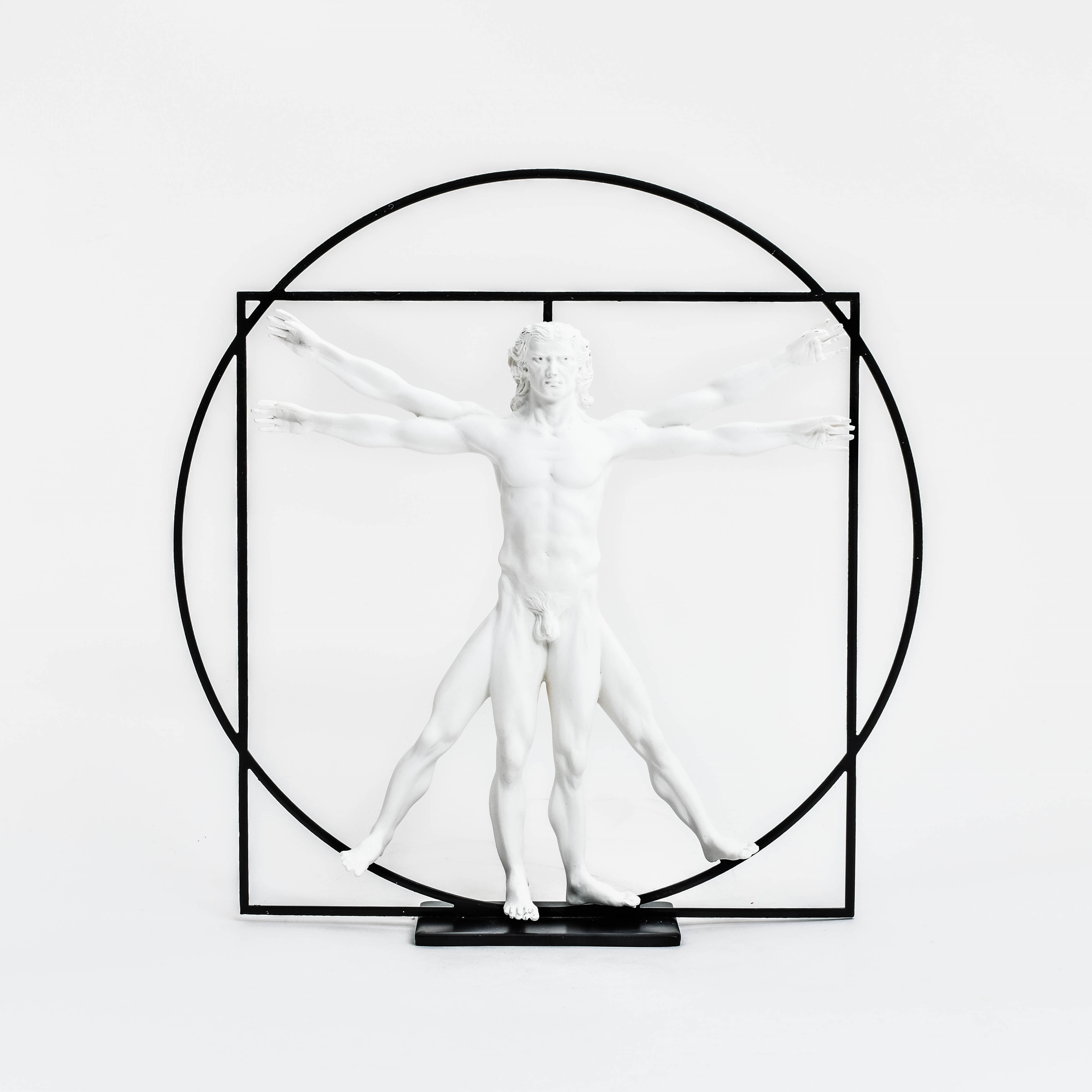 Da Vinci's Vitruvian Man