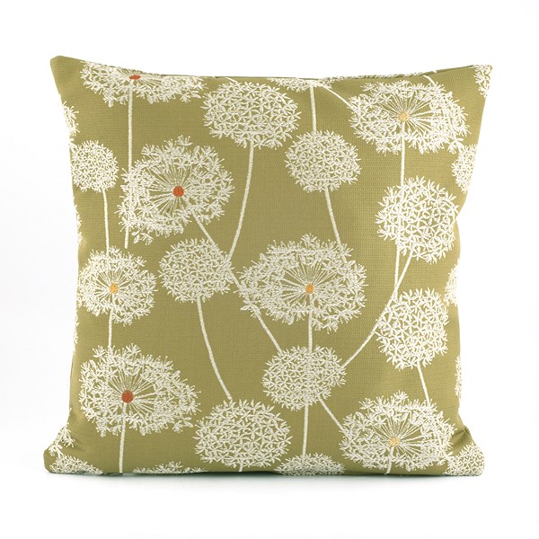 Cushion Wisdom