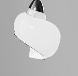 Venetian Wall Lamp Seashell