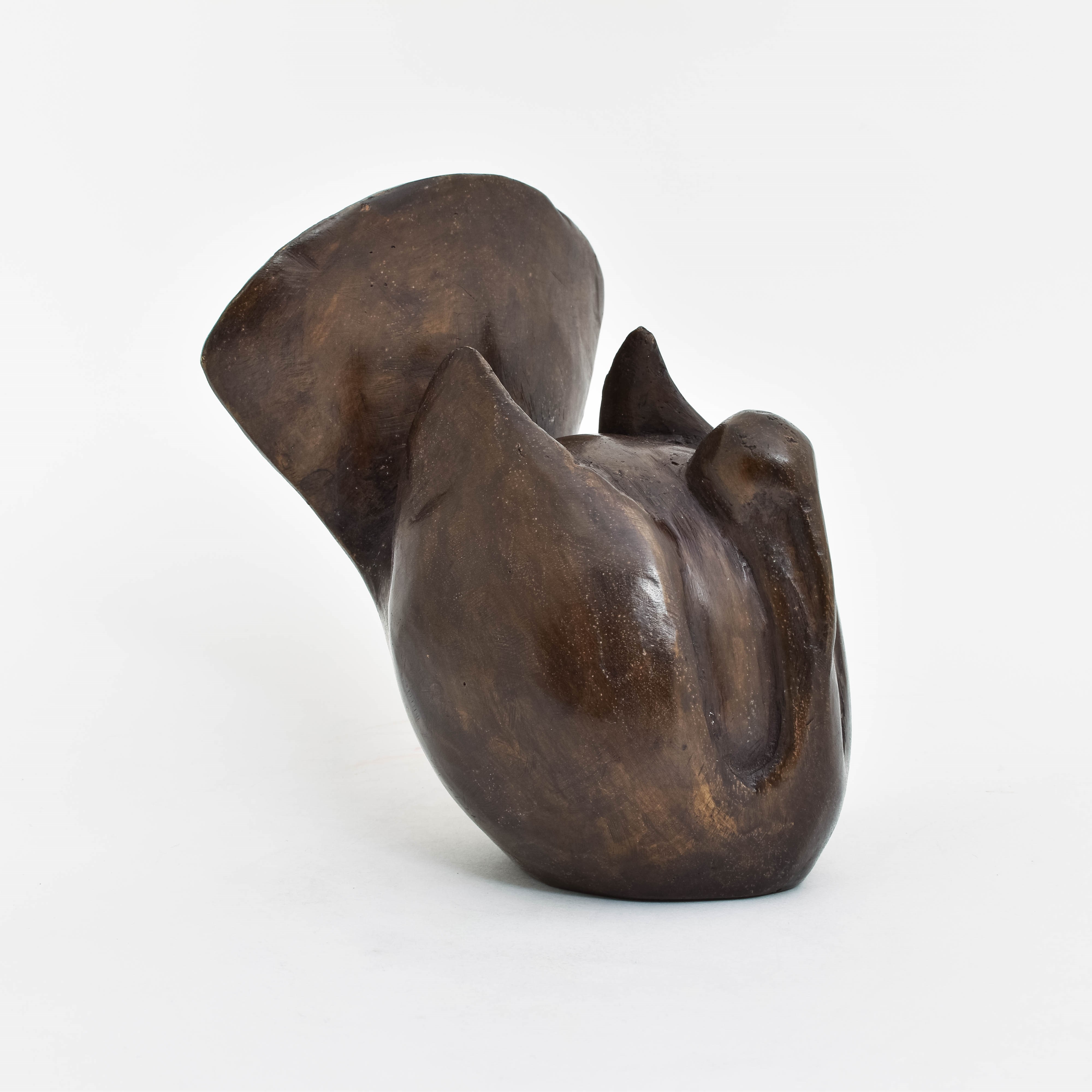Bronze Statue Robust Bird