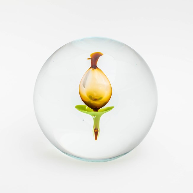 Glass sphere with tulip