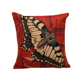 Cushion Swallowtail